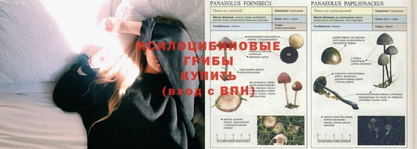 герыч Абинск
