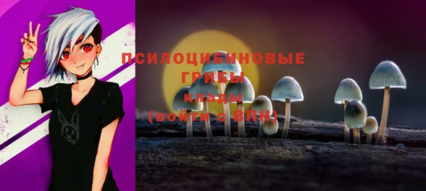 не бодяженный Абаза