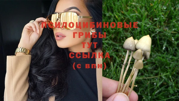 герыч Абинск